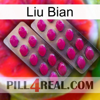 Liu Bian 10